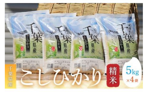 海外ブランド  令和6年産 20kg お米 千葉県産コシヒカリ(精米)20kg[5kg×4袋] 米・雑穀・粉類