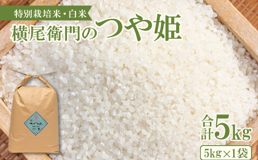 島根県産 つや姫 5kg×4袋【20kg】(いただき物) いただき物✨島根