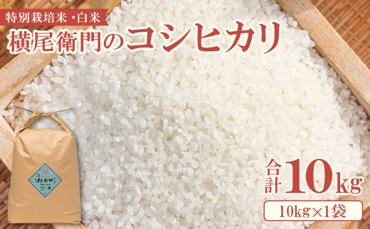 コシヒカリ白米10キロ　低農薬米
