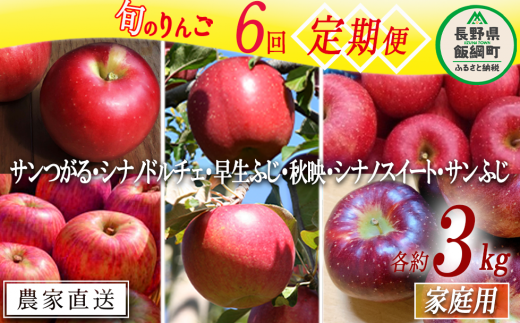 旬のりんご 【 定期便 】 家庭用 3kg × 6回 ファームたんぽぽ 沖縄県へ