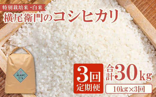 お米10kg 令和3年魚沼産コシヒカリ白米 - 米/穀物