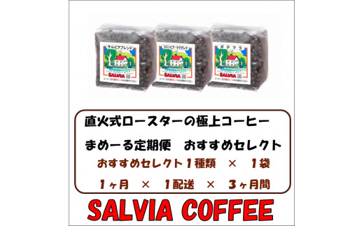 定期便】【豆】まめーる サルビア店主おすすめのコーヒー豆 200g×1