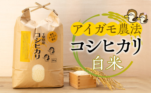 あいがも農法　白米10kg A02-001 アイガモ農法によるお米（白米10kg） - 千葉県長生村