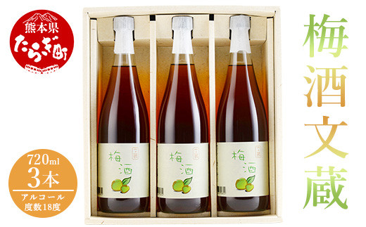 梅酒】梅酒 文蔵 720ml × 3本 計2.16L【木下醸造所 球磨焼酎 文蔵 35度