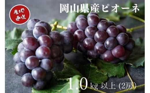 yR^szy2026Ns\z I RY sI[l 1.0sȏ 2[ / Yn ̂ Ԃǂ  s\ ^s t[c ykgftmt003-02z