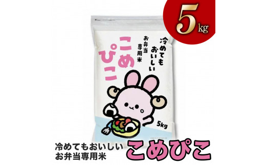 令和5年産冷めてもおいしい お弁当専用米「こめぴこ」5kg(精米) - 栃木  