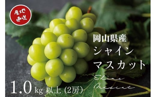 yR^szy2026Ns\z I RY VC}XJbg 1.0sȏ 2[ / Yn ̂ uhE Ԃǂ s\ ʕ t[c ^s ykgftmt001-02z