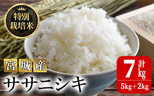 ふるさと納税 石巻市 令和5年産 特別栽培米 ササニシキ 白米 5kg