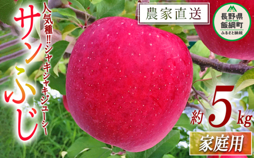 りんご サンふじ 家庭用 5kg 中村ファーム 沖縄県への配送不可 りんご サンふじ 家庭用 5kg 中村ファーム 沖縄県への配送不可