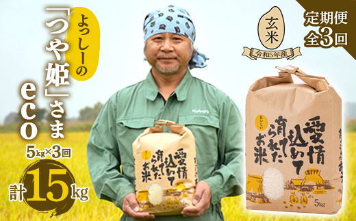 【定期便全3回】令和5年産よっしーの「つや姫」さまeco（玄米）5kg×3 米 お米 おこめ 山形県 新庄市 F3S-1625