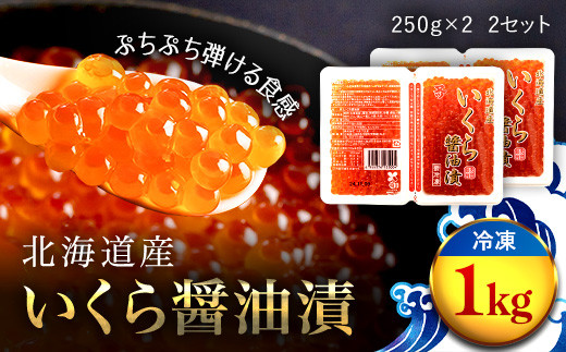 北海道産 いくら醤油漬2個セット（冷凍）250g×2パック入り 2