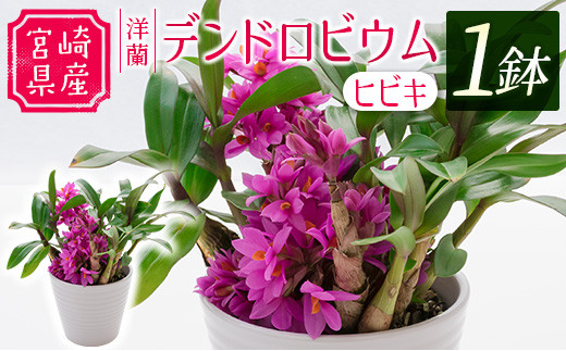 sd1_84b62e9c51d5f8882f618e86a0