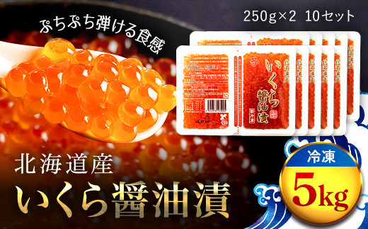 ふるさと納税 北海道 釧路町 いくら醤油漬け 250g ×1箱 小分け　| 国産 北海道産 いくら いくら醤油漬 イクラ ikura 天然 鮭 サーモン … ふるさと納税 釧路町 12⁄26まで年内発送日時指定可いくら醤油
