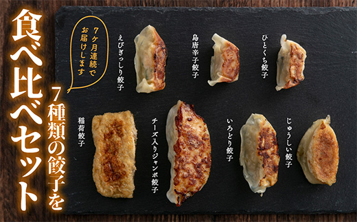 定期便】7ヵ月連続 餃子工房いろどり食べ比べセット 冷凍生餃子