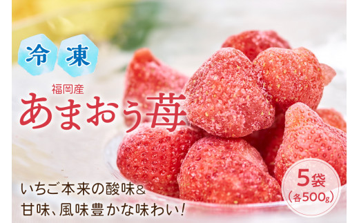 【福岡県中間市】いちご本来の酸味&甘味、風味豊かな味わい!福岡産あまおう苺(冷凍)500g×5袋【011-0040】