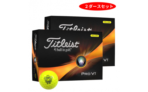 タイトリスト PROV1 ホワイト ゴルフボール 2ダース 24球 ローナンバー