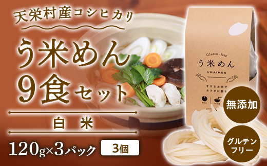 グルテンフリー 米粉で作った麺「う米めん」玄米タイプ12食入り F21T