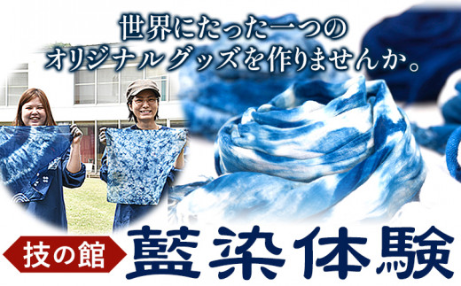 藍染体験チケット 一般社団法人ジャパンブルー上板《30日以内出荷予定