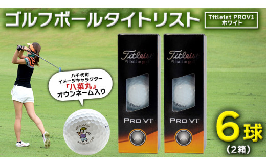 2023年9月30日まで 】 ゴルフボール タイトリスト PROV1 ホワイト 2箱