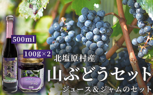 北塩原村産「山ぶどう」セット(山ぶどうジュース500ml 1本・山ぶどう