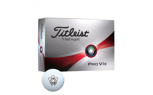 タイトリスト PROV1 ホワイト ゴルフボール 2ダース 24球 ローナンバー