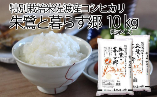 佐渡産コシヒカリ・朱鷺と暮らす郷10kg（5kg×2） - 新潟県佐渡市