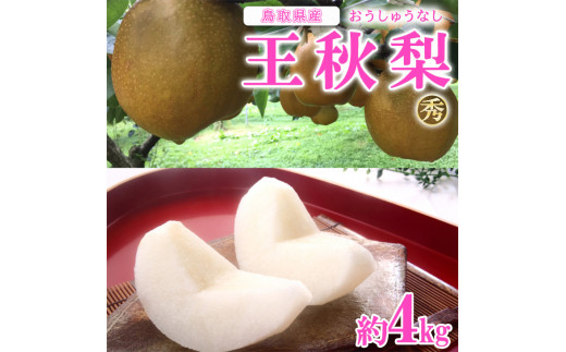 ３２１．ねばりっこ 3～4本 ｜ 新芋 ながいも 長芋 鳥取県産 ※2023年11
