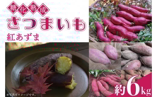 yȖ،vqzn܂(g)@6kgbȖ، vq ӂ邳Ɣ[ R n ܂ g v~A iAU001-1j