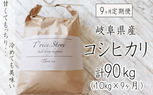 令和6年産】新米 【９カ月定期便】岐阜県産コシヒカリ 10kg(合計９０kg) - 岐阜県垂井町｜ふるさとチョイス - ふるさと納税サイト