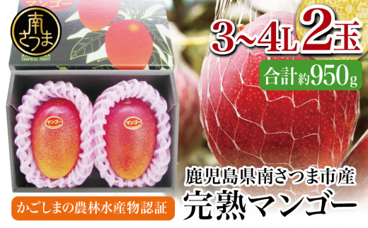鹿児島県産完熟マンゴー 約2.5kg 送料無料 - 果物
