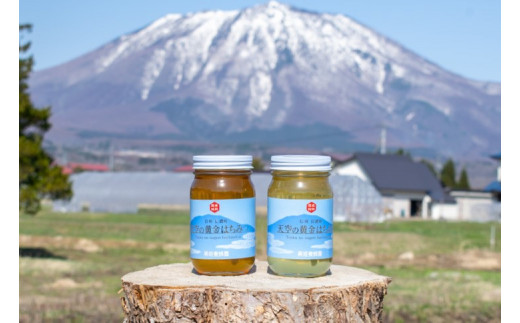ふるさと納税 限定！天空の黄金はちみつ300g２個セット（百花蜜・アカシヤ）　非加熱　国産純粋はちみつ 長野県信濃町 ふるさと納税天空の黄金はちみつ 300g×2本 ⁄ 600g×2本