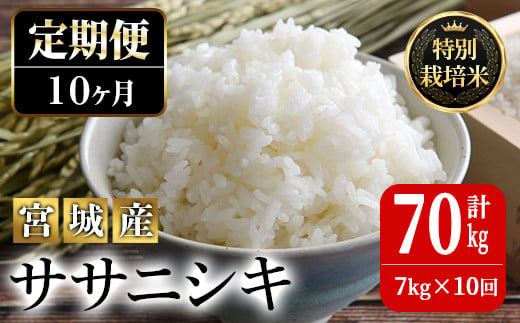 10か月定期便＞特別栽培米 ササニシキ 7kg×10回 (全70kg) お米 おこめ 米 コメ 白米 ご飯 ごはん おにぎり お弁当 有機質肥料  頒布会【JA新みやぎ】ta227 - 宮城県大和町｜ふるさとチョイス - ふるさと納税サイト