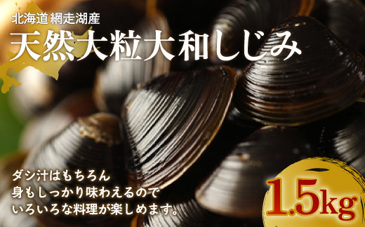 厳選！網走湖産大粒天然大和しじみ1.5kg 【 ふるさと納税 人気