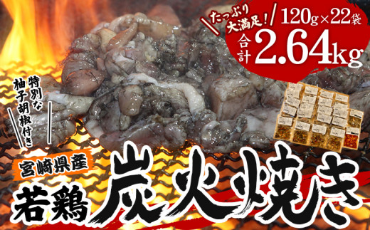 宮崎県産 若鶏 炭火焼 計2.64kg たっぷり22パック 宮崎の名店「宮崎肉魚青木」_M210-003_01 - 宮崎県宮崎市｜ふるさとチョイス -  ふるさと納税サイト