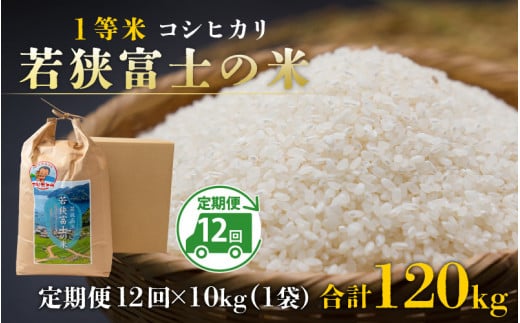 令和6年産 新米】【12ヶ月連続定期便】一等米コシヒカリ 若狭富士の米 10kg × 12回 計120kg - 福井県高浜町｜ふるさとチョイス -  ふるさと納税サイト