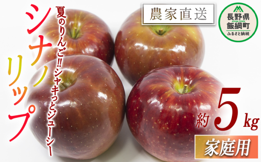 りんご シナノリップ 家庭用 5kg 渡辺農園 沖縄県への配送不可 2024年8月中旬頃から2024年8月下旬頃まで順次発送予定 令和6年度収穫分  エコファーマー認定 減農薬栽培 長野県 飯綱町 [0802]