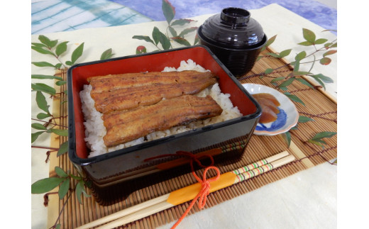 a28-008　国産 うなぎ 蒲焼き 約100g×6袋