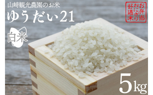 栃木県産ゆうだい21【特別栽培米】白米5kg×2