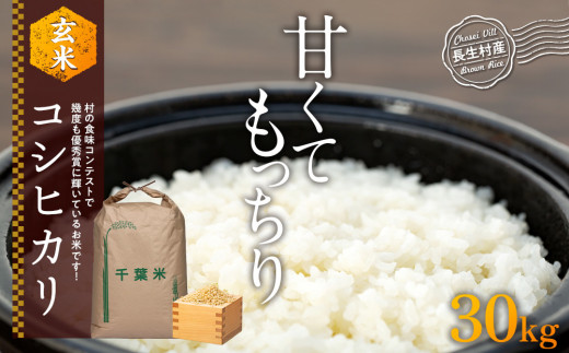 H02-B04 コシヒカリ（玄米30kg）令和5年産 - 千葉県長生村｜ふるさと