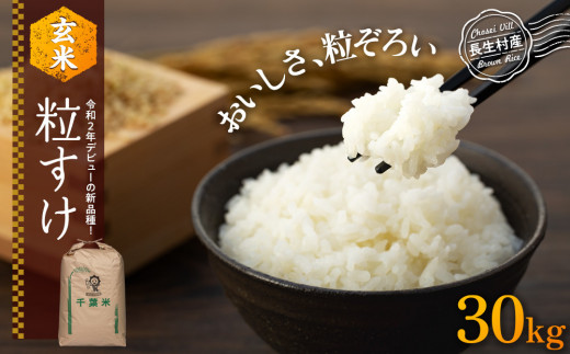 ☆☆新米☆☆  令和2年  千葉県産  コシヒカリ  玄米  30㎏