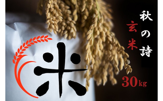 滋賀県産 近江米 秋の詩 令和5年 玄米30kg 近江米