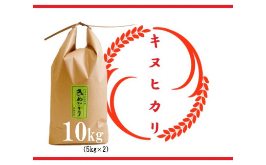 令和5年産 特別栽培 近江米 『キヌヒカリ』10kg(5kg×2)】米 近江米