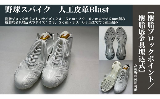 サンプル写真