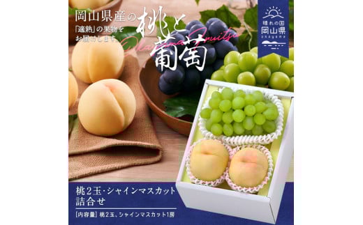 yRaCzEE-66yߘa8NzEVC}XJbgl