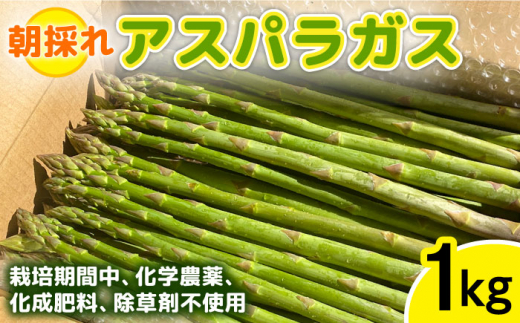 yszystz͔|Ԓ_sgpI ̂̃AXpKX 1kg y2026N3{ȍ~zs / _ [ANM001]