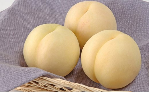 【岡山県和気町】CY-1【令和8年発送】ご家庭用岡山白桃(晩生)