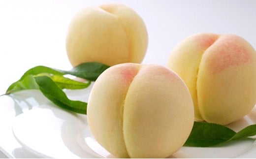 yRaCzBS-21yߘa8NzƒpRij