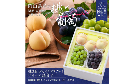 yRaCzCT-3yߘa8NzEVC}XJbgEsI[ll