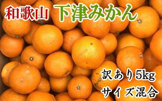 訳あり】和歌山下津みかん約5kgご家庭用向け(サイズ混合) ☆2023年11月