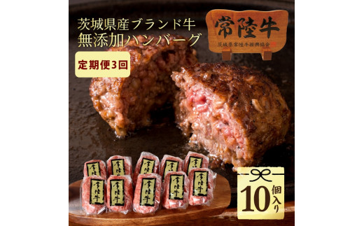 DU-97 【定期便3回】 ハンバーグ 10個 セット ギフト 肉 牛肉 誕生日